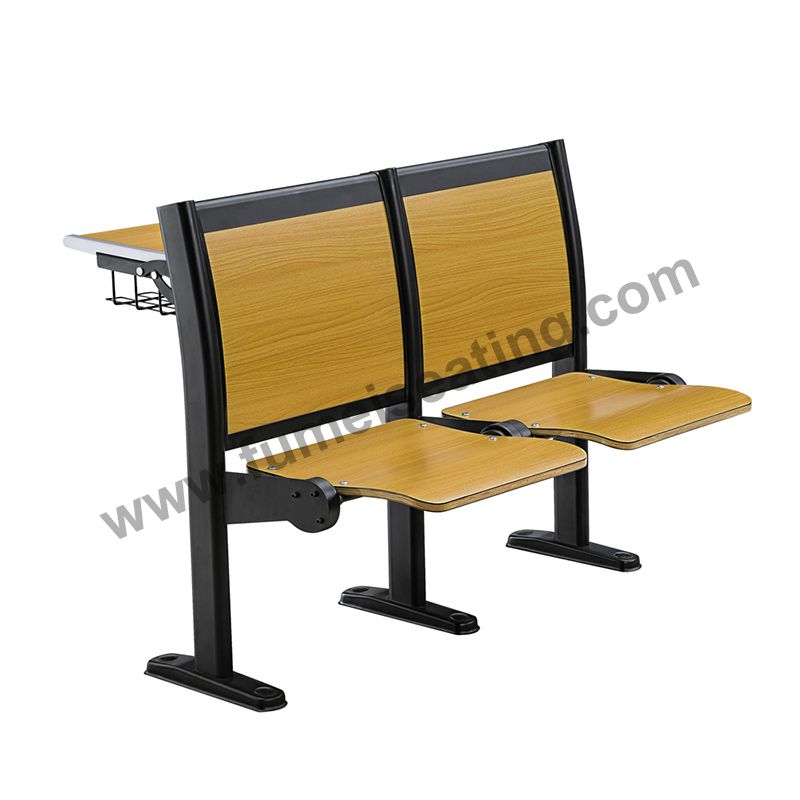 College Lecture Hall Seating FM-2030