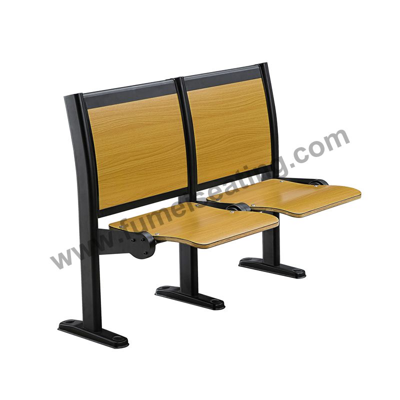 College Lecture Hall Seating FM-2030