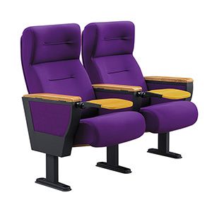 Comfortable Folding Auditorium Seat FM-2107