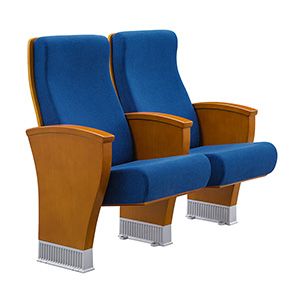 Comfortable Theater Seat FM-2109