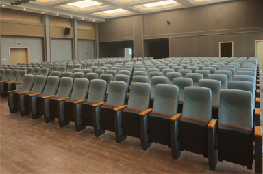 Guizhou government conference lecture hall seats FM2013