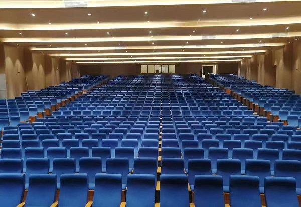 FM-2010 lecture hall chair projects