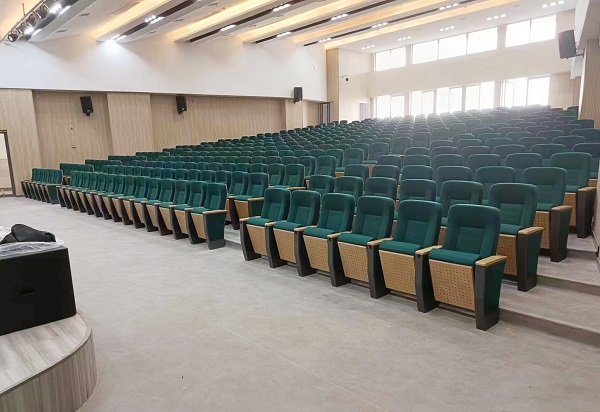 FM-2011 Theater Chair Project Case