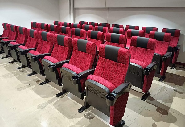 FM-242 Theater Chair Project Case